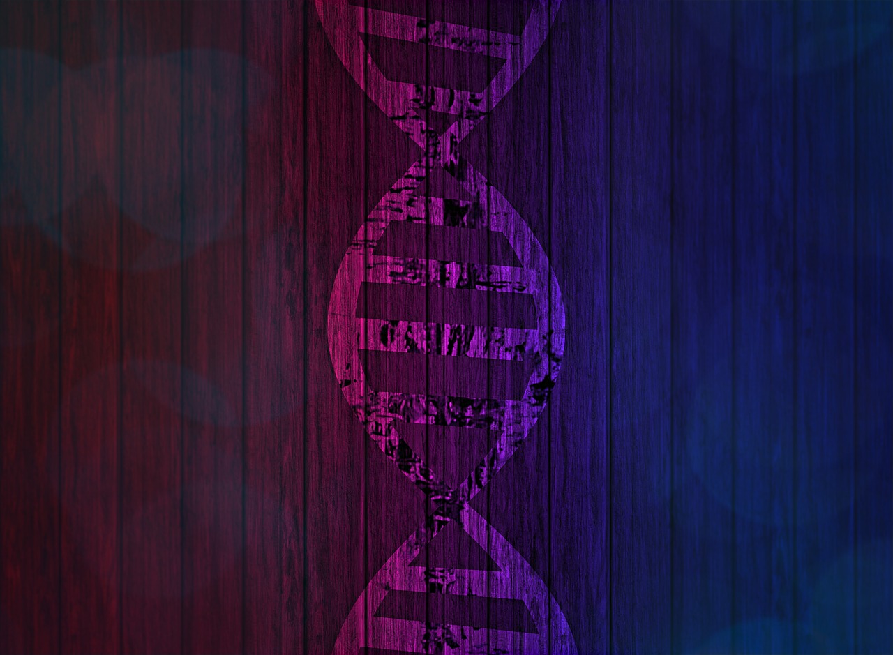 dna, deoxyribonucleic acid, genetic information